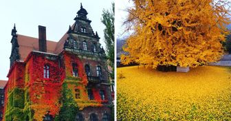 Voici à quoi ressemble l’automne dans le monde entier