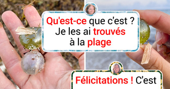12 Découvertes étonnantes qui vont changer ta vision de la réalité