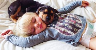 8 Avantages de partager son lit avec son chien