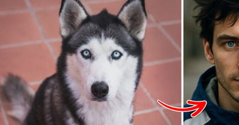 Voici à quoi ressembleraient 9 races de chiens populaires s’ils étaient humains
