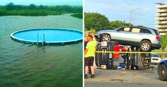 20 Images drôles qui te laisseront un peu perplexe