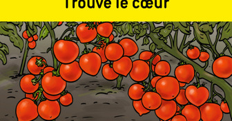 Peux-tu trouver les formes cachées dans ces images ?