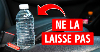 Si tu as laissé une bouteille en plastique dans ta voiture, ne la bois pas