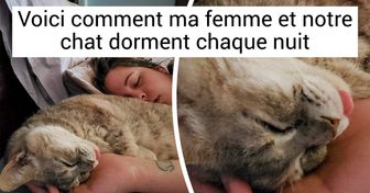 17 Animaux qui ont trouvé leur propre moyen de dire : “Je t’aime, humain”