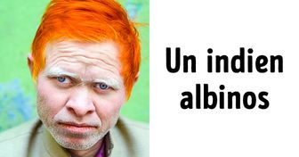 20 Merveilles qui t’étonneront bien plus qu’une licorne