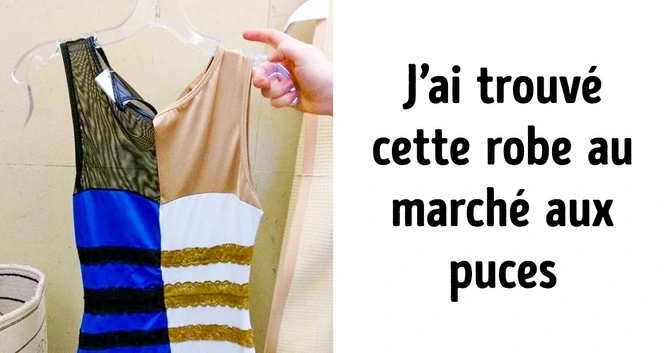28 Objets trouvés sur les marchés aux puces, dont les créateurs ont visiblement un sens de l’imagination débordant (le traducteur du langage canin est tout simplement génial)