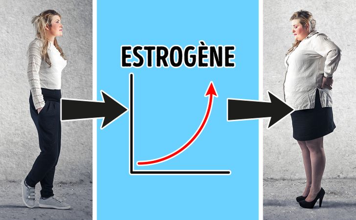 Ces 9 hormones qui favorisent la prise de poids et comment ...